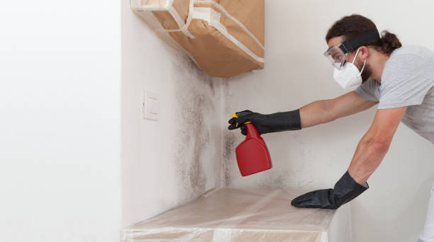 Professional Mold Cleanup technician working in Jericho, NY