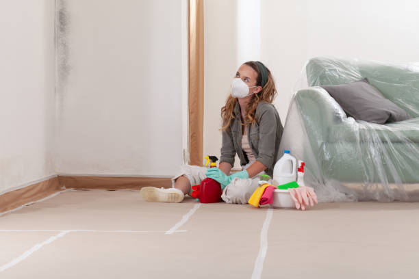 Reliable Mold Cleanup contractor in Jericho, NY by WQB Mold Removal